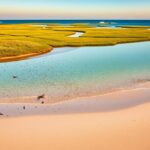 Flick International Coastal landscape of Orbetello, Italy, with midges in the air