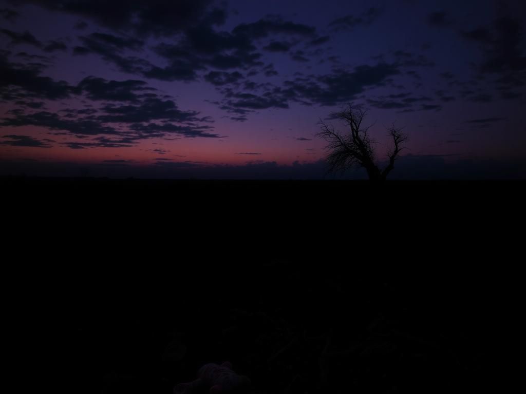 Flick International Haunting rural Texas field at dusk with remnants of tragedy