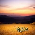 Flick International A serene landscape of the Gaza Strip at dusk, featuring rolling hills and crumbling buildings