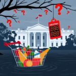 Flick International A stylized depiction of the White House with an abandoned shopping cart in rising water illustrating economic challenges.