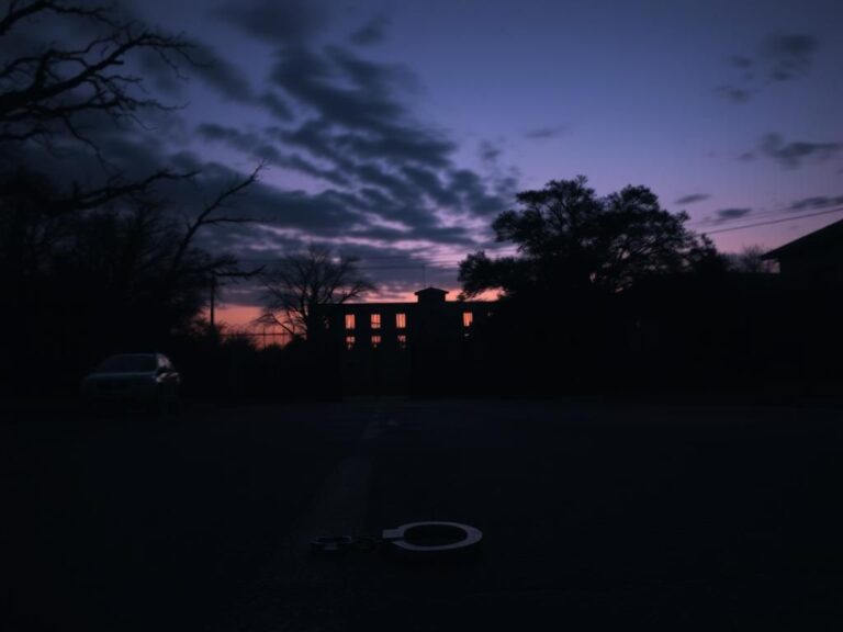 Flick International Shadowy cityscape of New Orleans at dusk with correctional facility and barbed wire