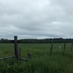 Flick International A haunting landscape of Fox Hollow Farm, showcasing overgrown fields and decaying wooden fences.