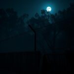 Flick International A dimly lit Louisiana jail's perimeter fence under moonlight