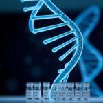 Flick International Close-up view of a translucent double helix DNA strand glowing in soft blues and greens