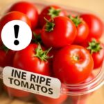 Flick International Close-up of vine-ripe tomatoes in a plastic clamshell container with a warning sign indicating salmonella risk