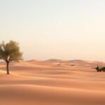 Flick International Serene landscape of Yemen with peaceful olive trees and remnants of military aircraft