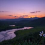 Flick International Serene landscape at twilight with a river and blooming white flower symbolizing hope