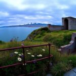Flick International Panoramic view of Alcatraz Island with crumbling prison structures and overgrown vegetation