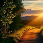 Flick International A serene forest path illuminated by golden sunlight, symbolizing hope and resilience.