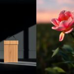 Flick International A split-screen image showcasing contrasting scenes of a political debate on gender identity, featuring a stark office and a vibrant natural landscape.