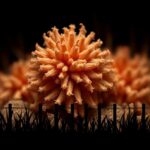 Flick International Close-up view of a microscopic fungal structure showcasing its intricate features against a dark background.