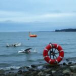 Flick International Remnants of a small aircraft partially submerged in the Long Island Sound after an emergency crash.