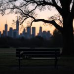 Flick International Sunset over New York City skyline with an empty park bench and wildflowers