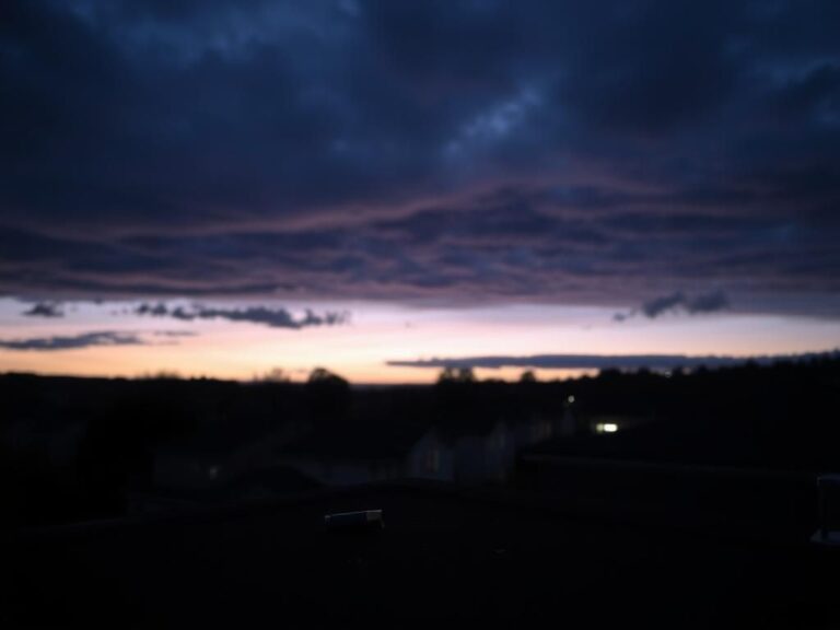 Flick International Rooftop view at twilight overlooking a university campus with shadowy outlines of buildings