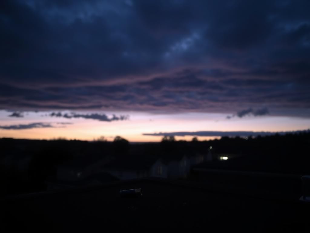 Flick International Rooftop view at twilight overlooking a university campus with shadowy outlines of buildings