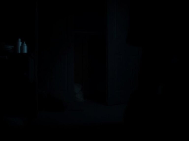 Flick International Dimly lit interior of a cluttered room with an open closet door revealing a crumpled trash bag.