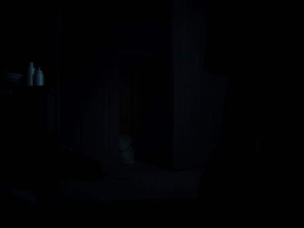 Flick International Dimly lit interior of a cluttered room with an open closet door revealing a crumpled trash bag.